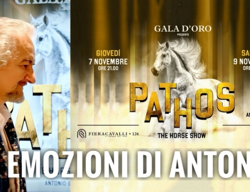 VERONAFIERE. A FIERACAVALLI I RIFLETTORI INIZIANO AD ACCENDERSI: TUTTO PRONTO PER IL GALA D’ORO PATHOS DI ANTONIO GIAROLA.