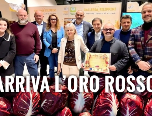 CONVEGNI. [VIDEO] IL RADICCHIO DI VERONA E IL TERRITORIO DELLA PIANURA VERONESE. FURIANI: «TESORI ANCORA DA SCOPRIRE E VALORIZZARE».