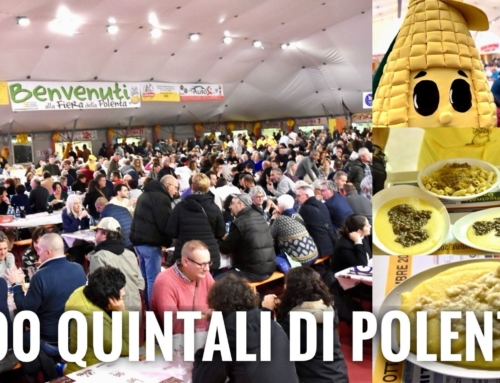 VIGASIO. AFFLUSSO RECORD ALLA FIERA DELLA POLENTA:  120.000 PRESENZE, 300 I QUINTALI DI POLENTA SERVITA, SOLD OUT GLI SPETTACOLI.