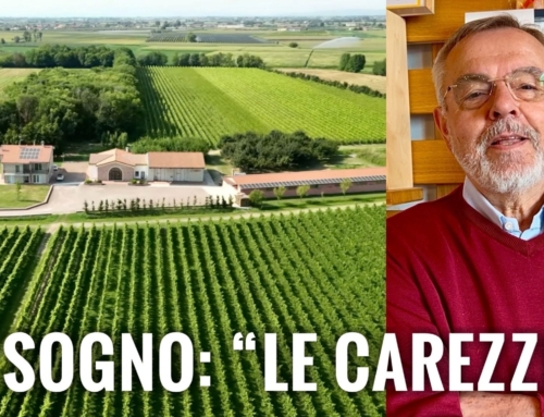 STORIE. [VIDEO] IL SOGNO DI LUIGI ERA CREARE GRANDI VINI DAI NOMI CRECI IN UN PARADISO BIOLOGICO DELLA PIANURA VERONESE E CHIAMARLO “LE CAREZZE”.