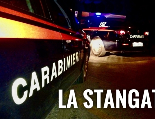 CEREA. PRIME PATENTI RITIRATE DEL NUOVO CODICE DELLA STRADA: INCIDENTE STRADALE CAUSATO DA UN 29ENNE PER GUIDA IN STATO DI EBBREZZA.