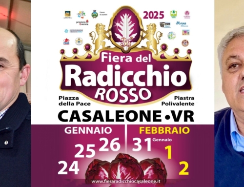 CASALEONE. DUE WEEKEND PER CELEBRARE L’ORO ROSSO DI VERONA CON CONVEGNI SU TURISMO E AGRICOLTURA, MOSTRE, SPETTACOLI, SPORT E DEGUSTAZIONI.