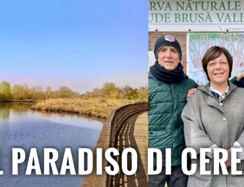 CEREA. OASI DEL BRUSÀ: DALLA REGIONE UN CONTRIBUTO DI 78 MILA EURO PER LA TUTELA DELLA BIODIVERSITÀ DEL PARADISO NATURALE. AL VIA IL PROGETTO.