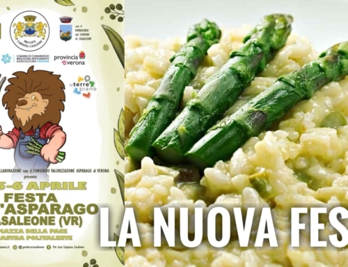 A CASALEONE ARRIVA LA 1ª FESTA DELL’ASPARAGO: TRE GIORNI DI SAPORI E TRADIZIONI. SI INIZIA IL 4 APRILE CON “LA TERRA DEGLI ASPARAGI”.